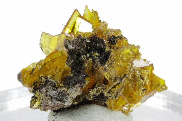 Glassy Yellow-Orange Wulfenite Crystal Cluster - Mexico #347982